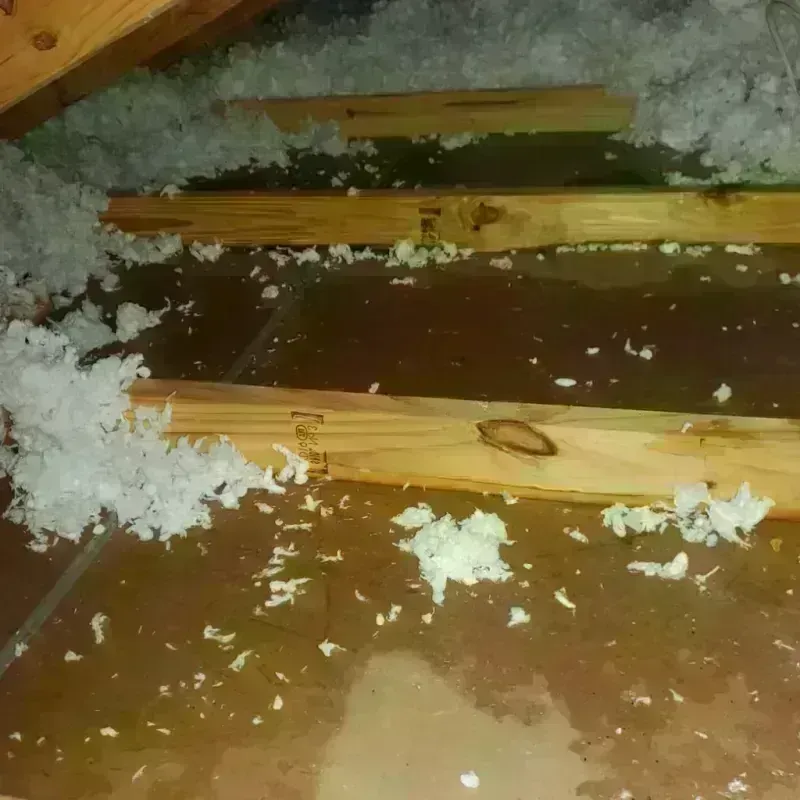 Attic Water Damage in Albany, KY